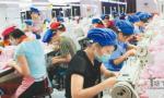 中国珠三角生产基地雇用大量越南非法劳工[图]