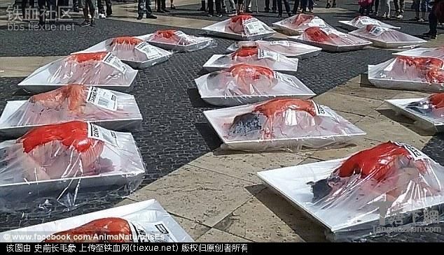西班牙抗议者裸身洒血变“人肉保鲜盒”