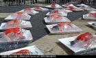 西班牙抗议者裸身洒血变“人肉保鲜盒”【组图】