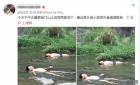 假新闻：永嘉县陡门山上发现两具浮尸
