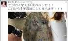 日本网友吃鱼前晒了张照片 没想到捡回一条命(图)